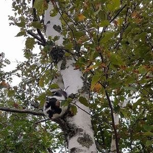 Meet your Posher, Anastasia